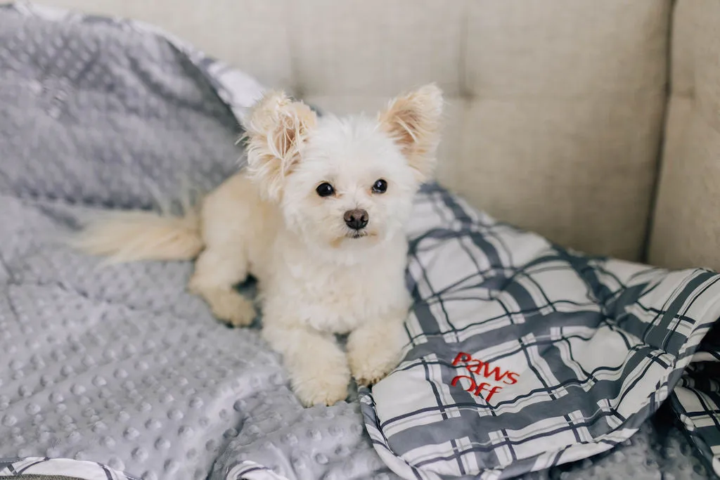 A Hug For You Mini Blanket